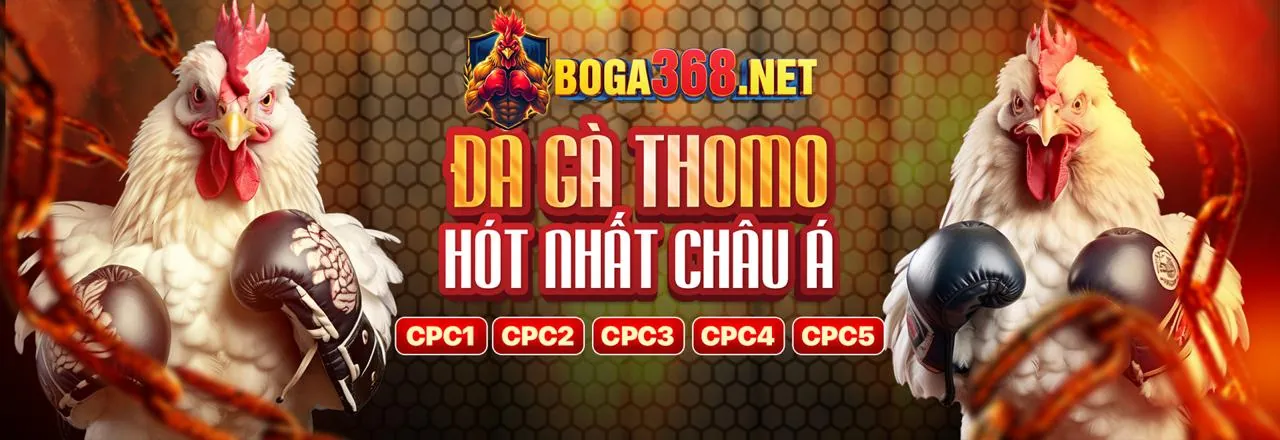 Đá gà trực tuyến 188 com vn